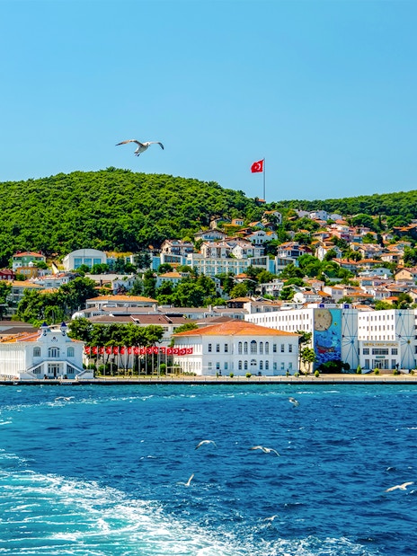 Buyukada Island view from cruise with Turkish flag, Istanbul.