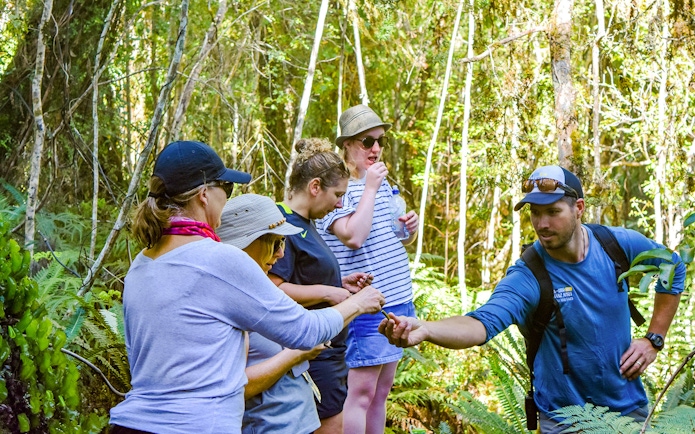 Tourists exploring plants with a guide in Franz Josef rainforest walk.