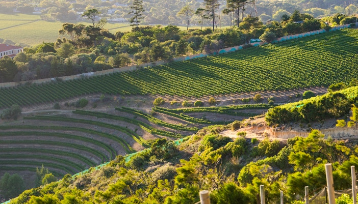 Beau Constantia, Cape Town