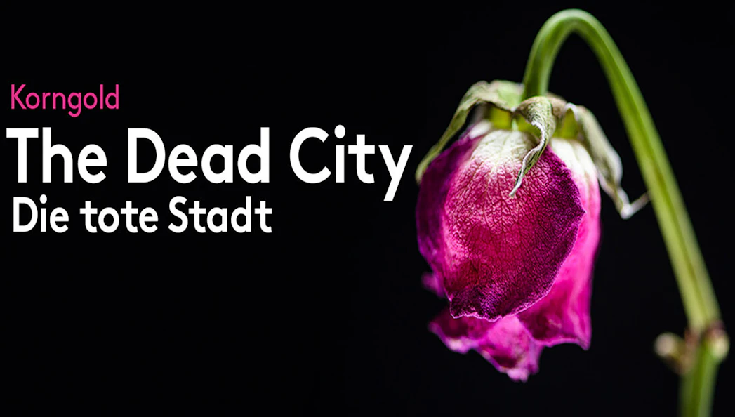 Wilted pink rose against black background, representing "The Dead City.