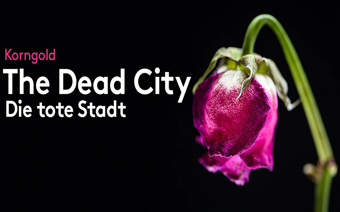 Wilted pink rose against black background, representing "The Dead City.