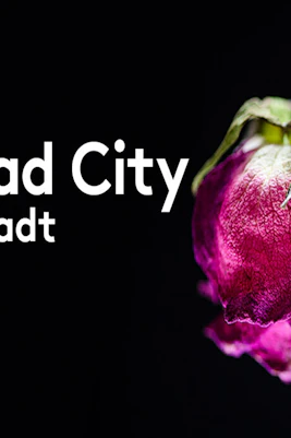 Wilted pink rose against black background, representing "The Dead City.