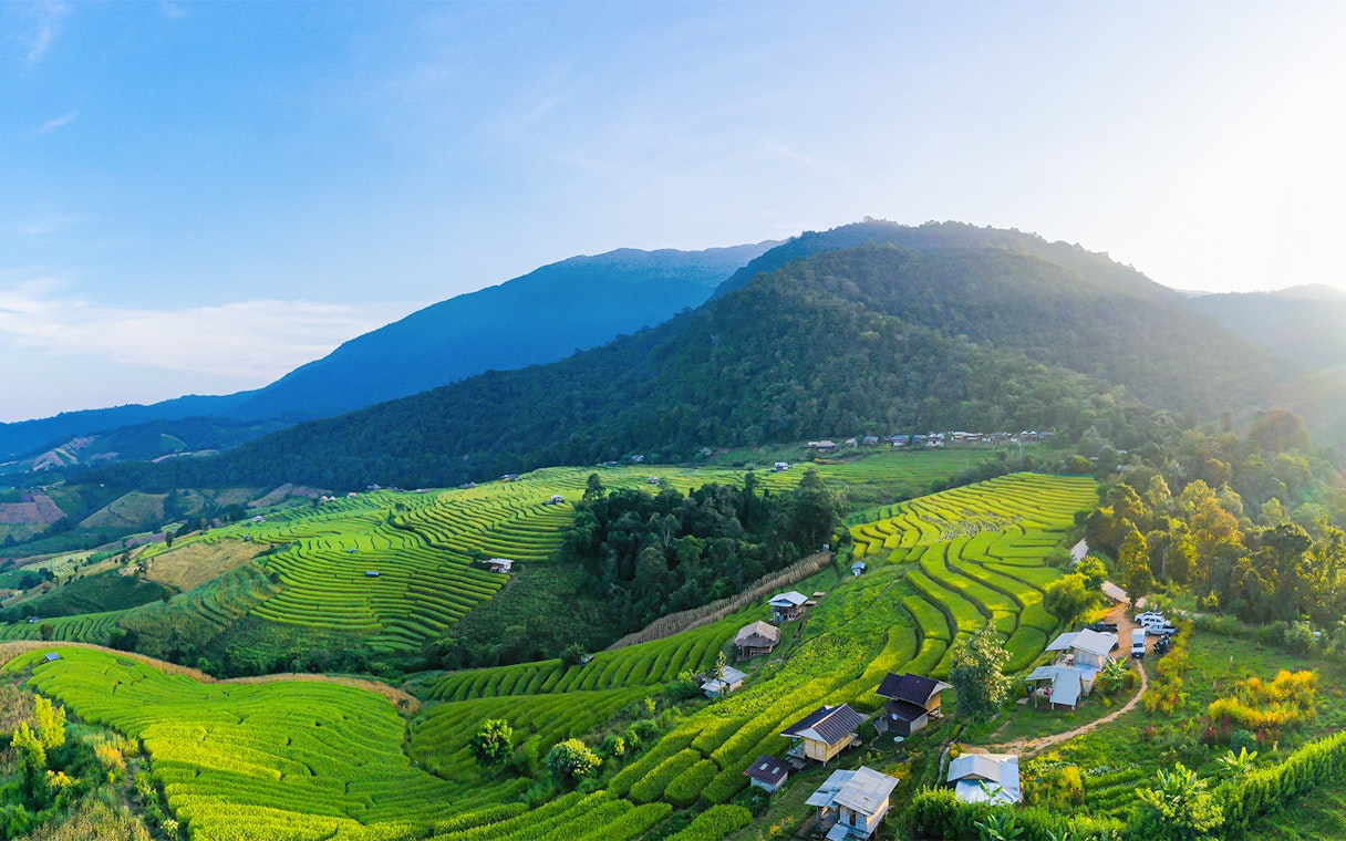 Terraced rice fields and lush hills in Chiang Mai, Thailand.