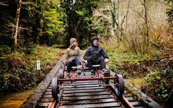 Guests riding rail bike through redwoods in San Francisco.