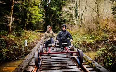 Guests riding rail bike through redwoods in San Francisco.