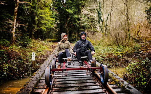 Guests riding rail bike through redwoods in San Francisco.