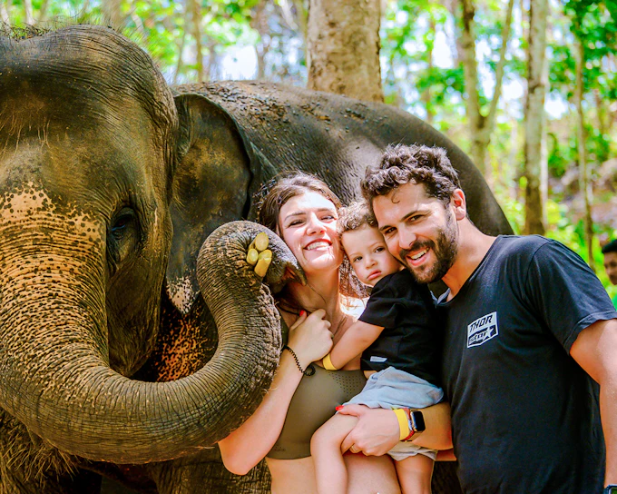 Phuket Lily Elephant Camp by the Beach: Feed & Shower Guided Tours with Optional Transfers