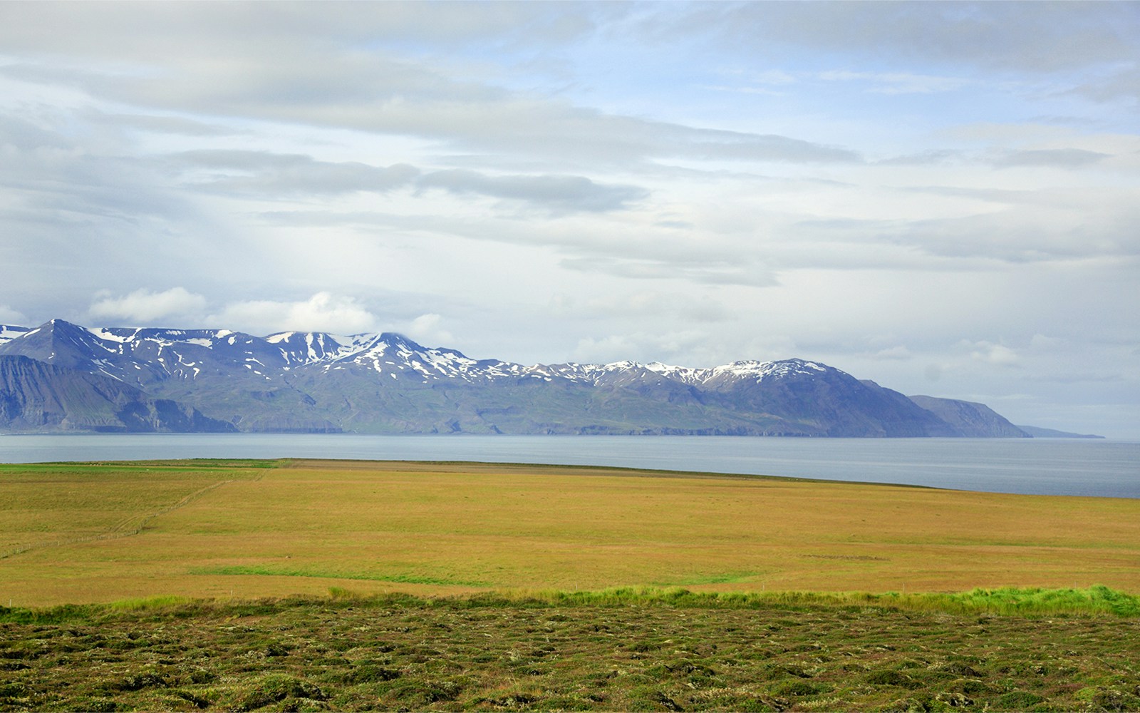 Skjálfandi Bay with snow-capped mountains and grassy fields in Iceland.
