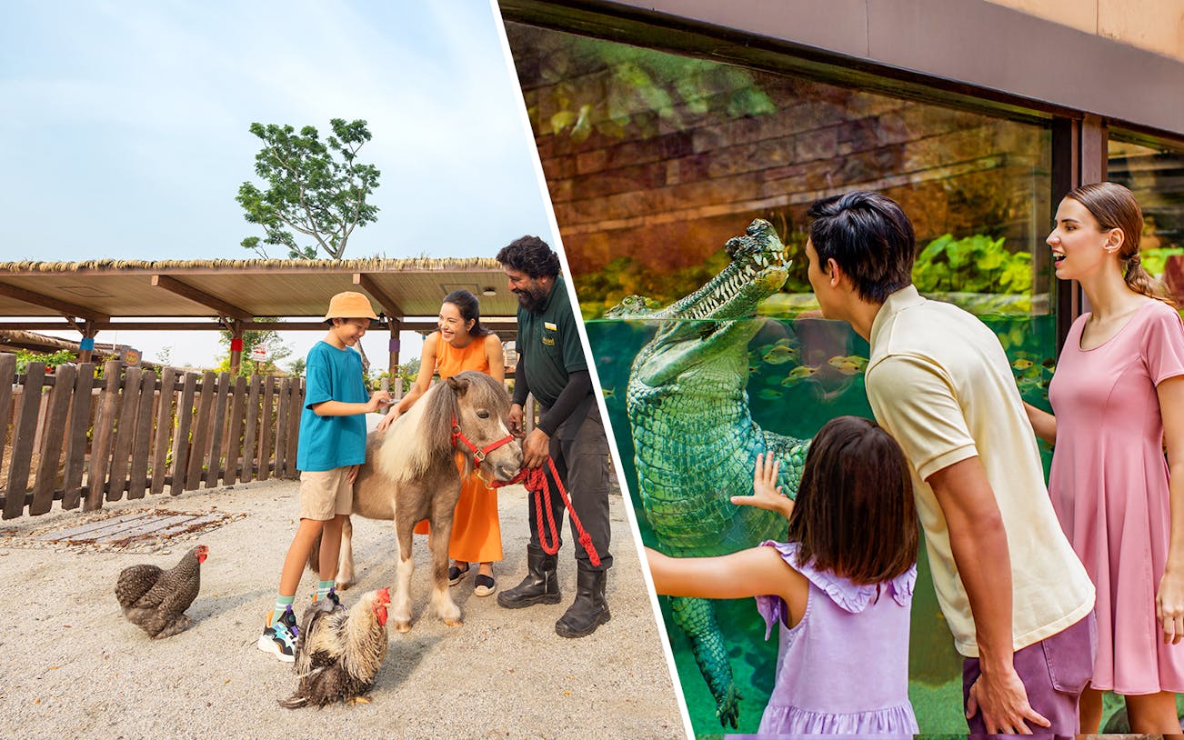 Visitors interacting with a pony and viewing a crocodile at Singapore Zoo and River Wonders.