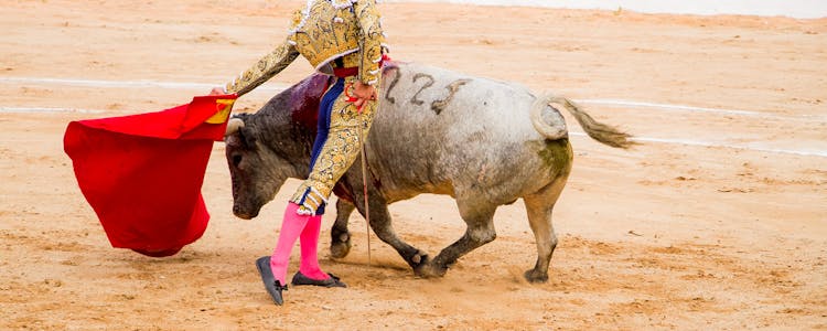 Las Ventas Bullfights