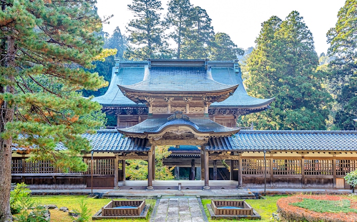 Eiheiji Temple entrance with traditional wooden architecture surrounded by trees in Japan.