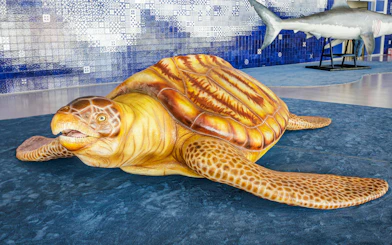 Sea turtle sculpture at Oceanário de Lisboa's SEA MONSTERS exhibition.