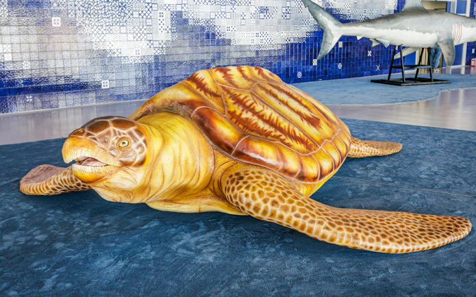 Sea turtle sculpture at Oceanário de Lisboa's SEA MONSTERS exhibition.