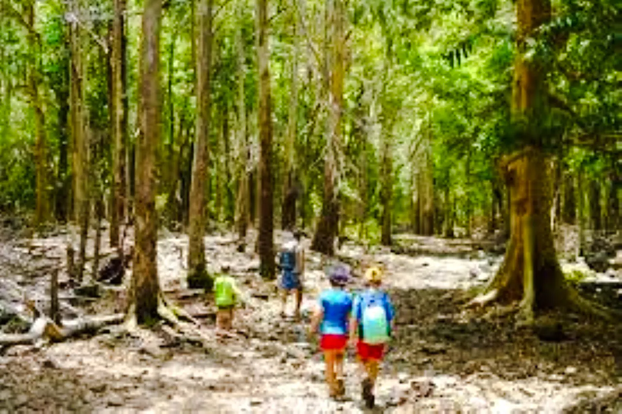 Private South-West Mauritius Tour with Bel Ombre Beach Horseback Ride and Lunch