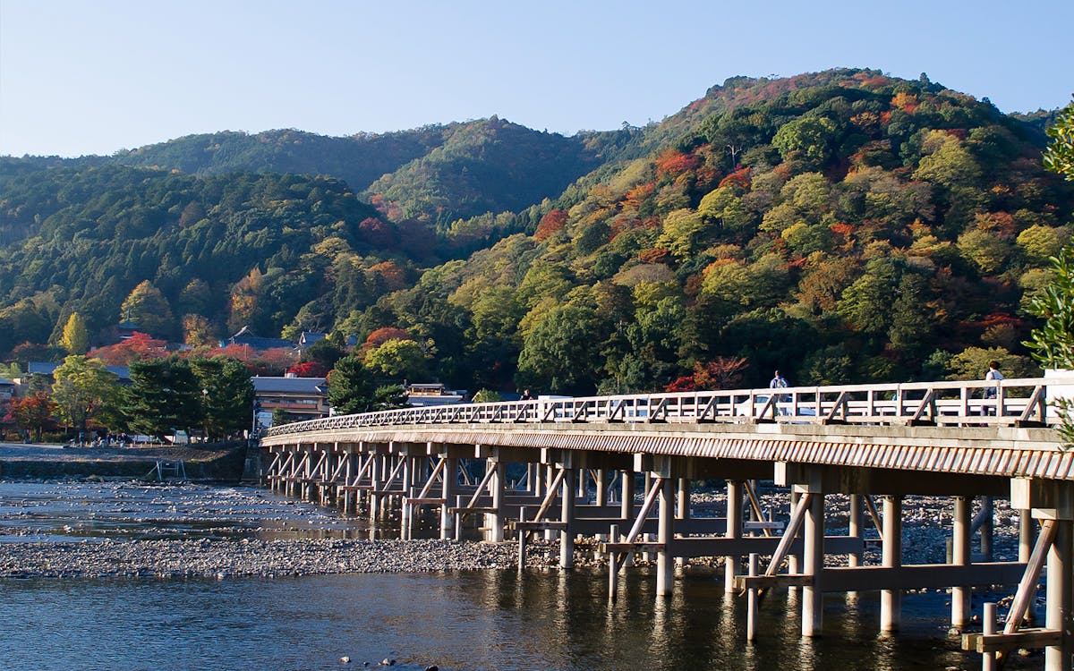 guided day tour of kyoto and nara: fushimi inari taisha shrine, arashiyama, and nara park-7 guided day tour of kyoto and nara: fushimi inari taisha shrine, arashiyama, and nara park-7