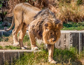 Attractions in Madrid