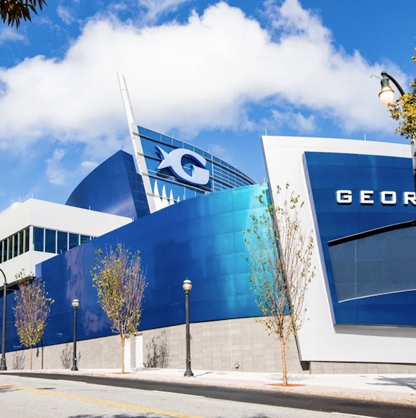 Complete guide to visiting Georgia Aquarium in Atlanta