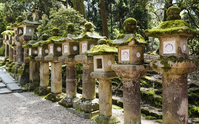 Moss-covered stone lanterns along a path at Kasuga Taisha, Nara, Japan.