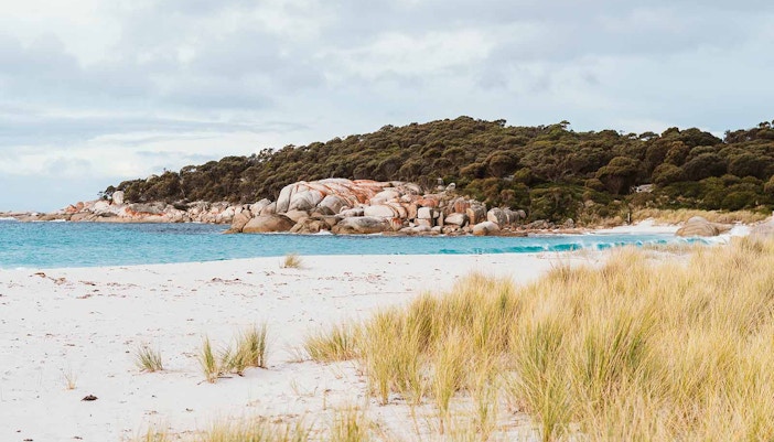Snorkelers exploring vibrant coral reef at Reef Beach, Maldives.