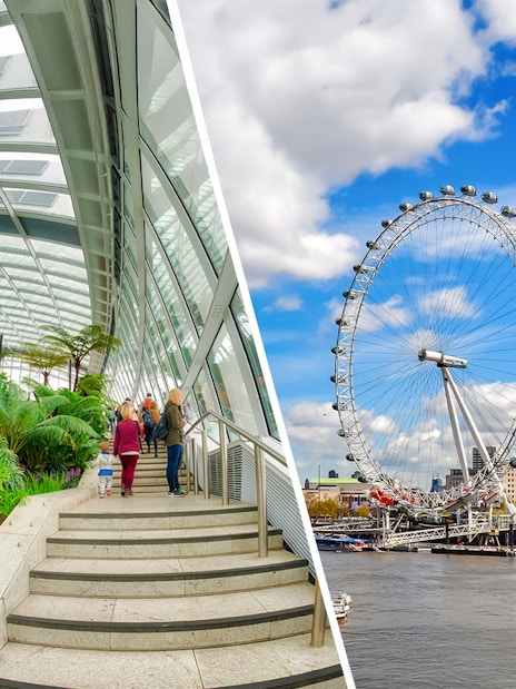 Sky Garden indoor park with lush greenery and visitors, London Eye in the background.