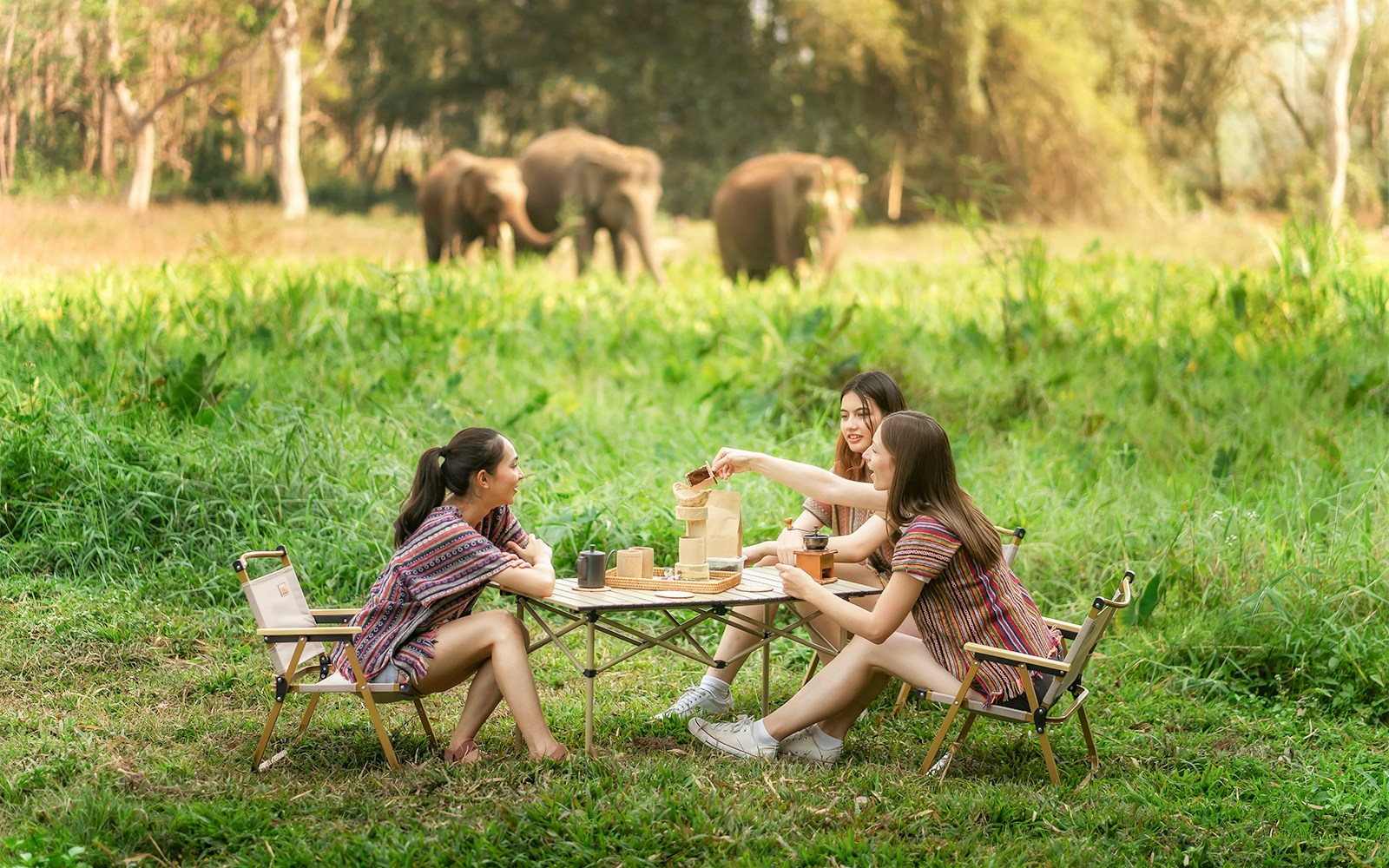 Lunch with elephants