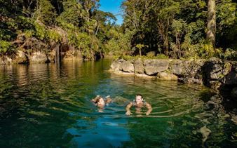 People swimming in a natural lagoon surrounded by lush greenery at Xcaret Park.
