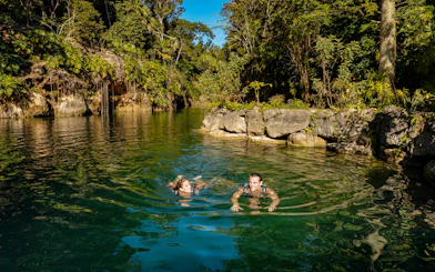 People swimming in a natural lagoon surrounded by lush greenery at Xcaret Park.