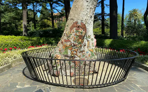 Tree trunk with intricate carvings in Fitzroy Gardens, Melbourne, surrounded by greenery and a black fence.