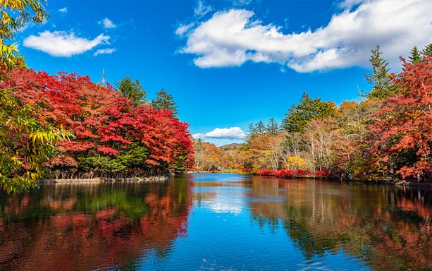 Karuizawa autumn foliage reflecting on a tranquil lake under a clear blue sky.
