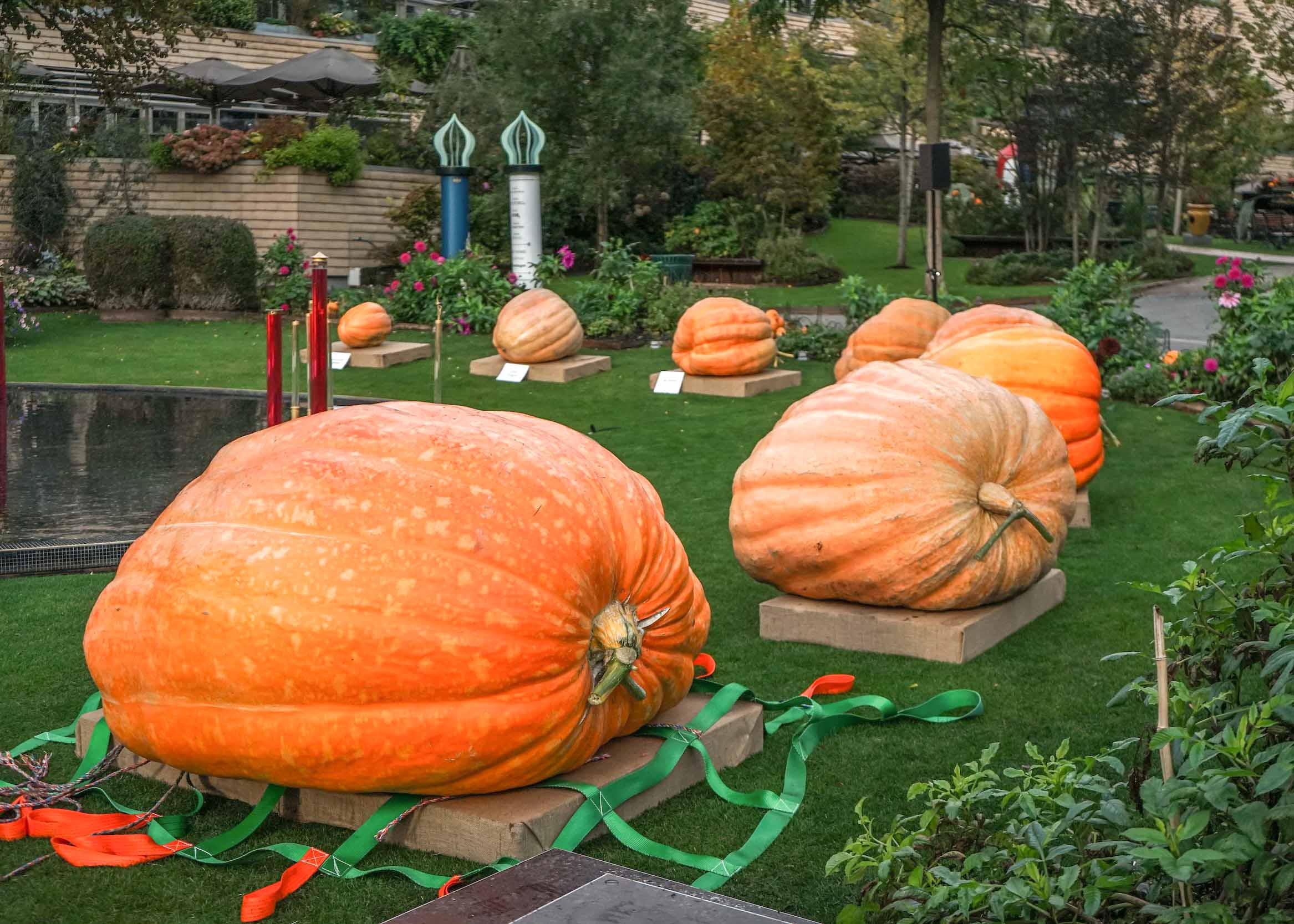 Tivoli Gardens Halloween decorations with illuminated pumpkins and festive lights in Copenhagen.