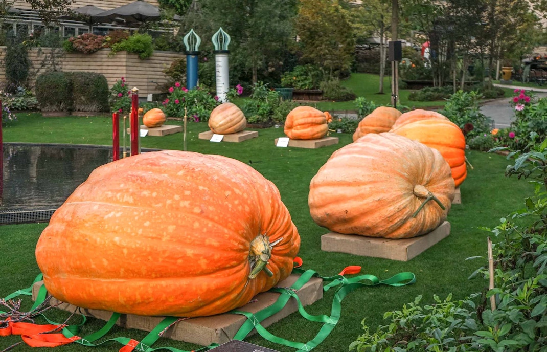 Tivoli Gardens in Copenhagen