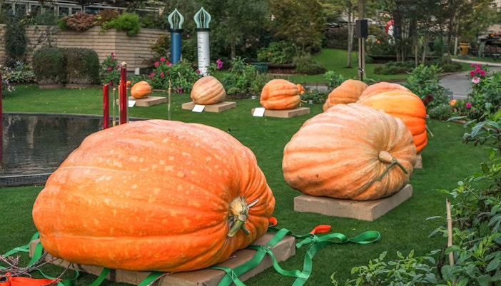 Halloween at Tivoli Gardens