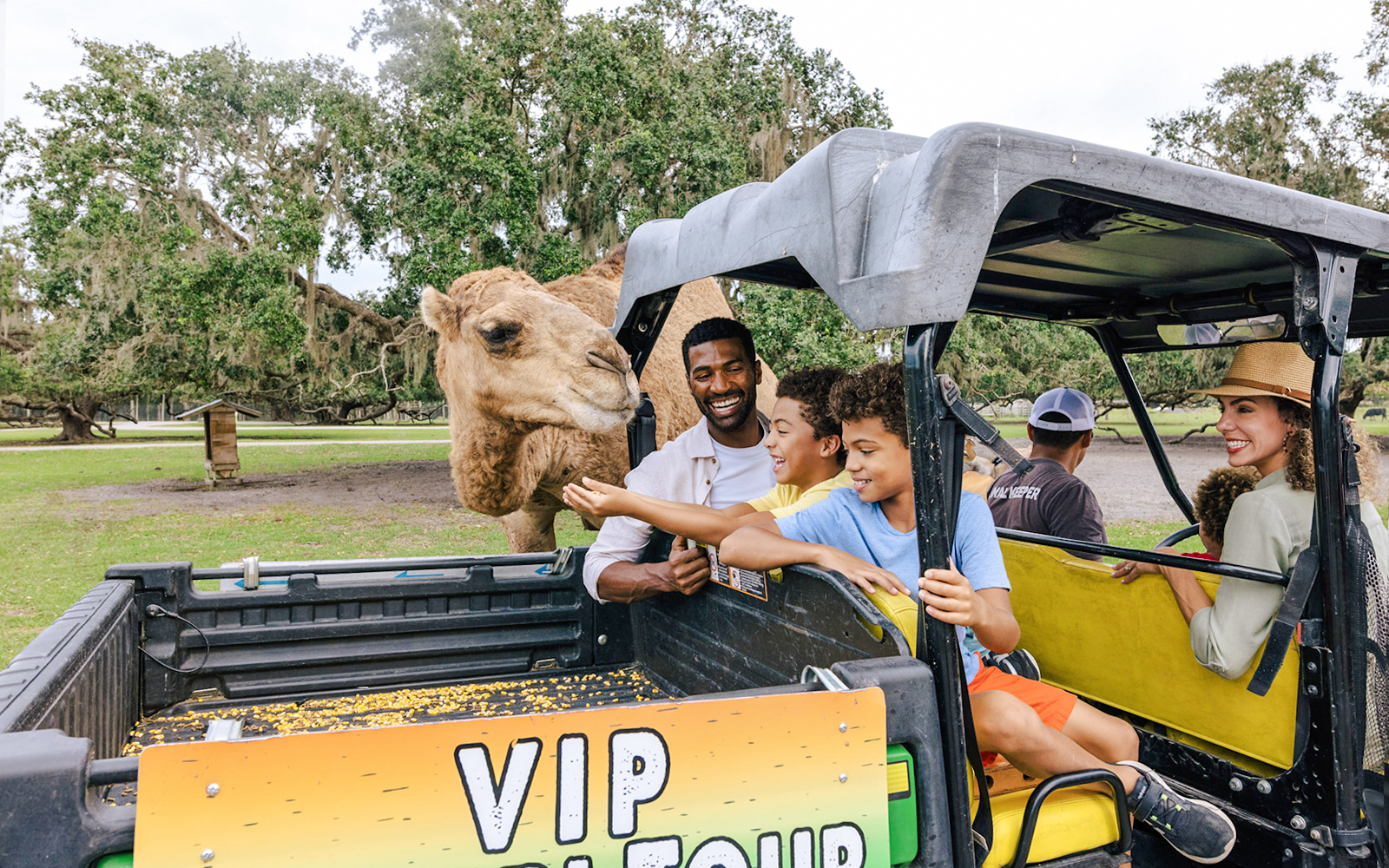 Visitors feeding a camel from a safari vehicle at Drive-Thru Safari Park, Orlando.