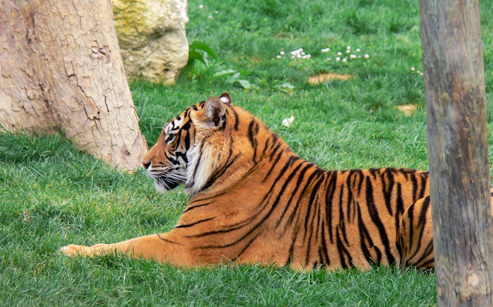 Family observing giraffes at Jardim Zoologico, Lisbon.