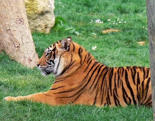 Jardim Zoologico