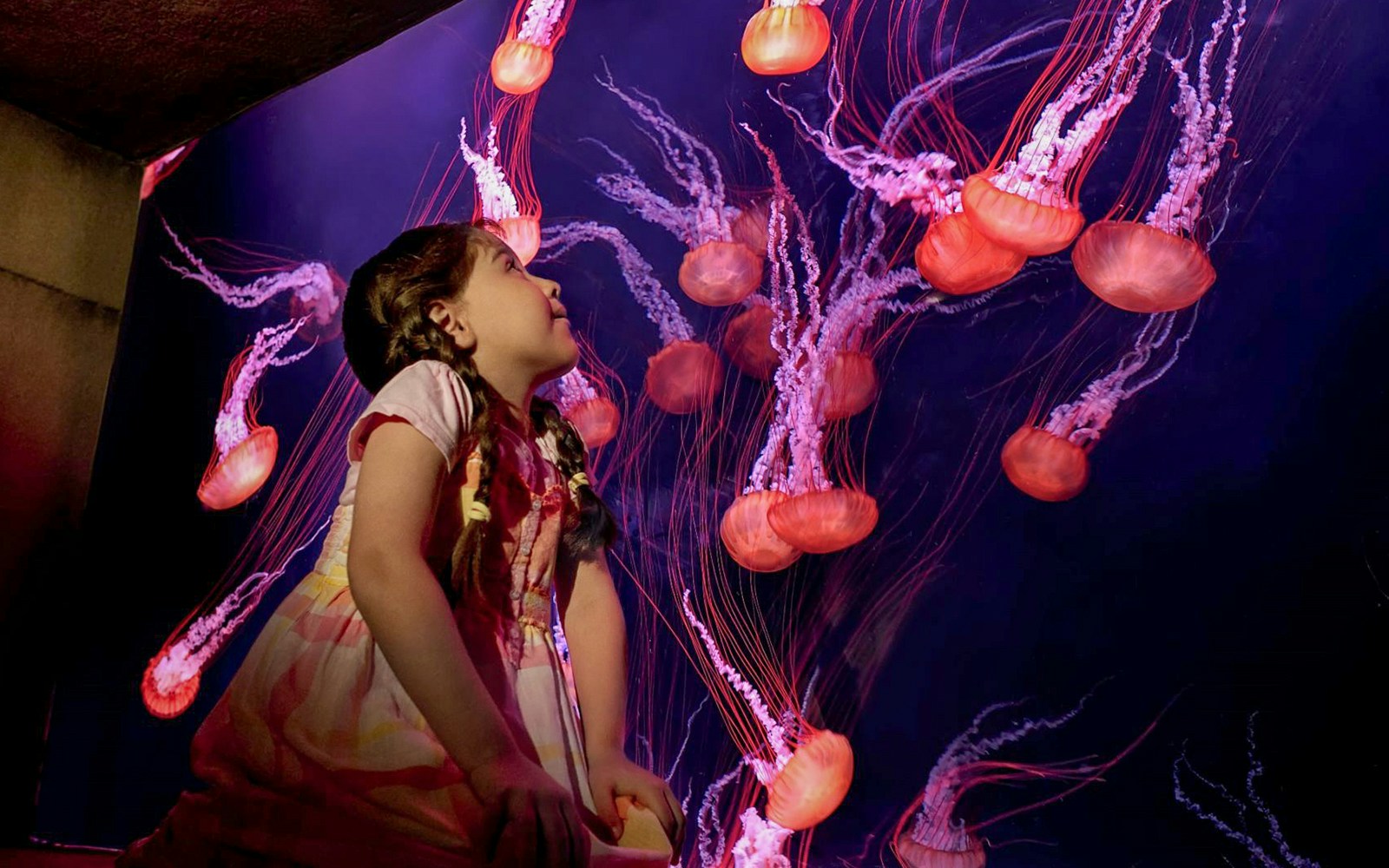 Child exploring Atlantis The Lost Chambers Aquarium, Dubai, surrounded by vibrant marine life.
