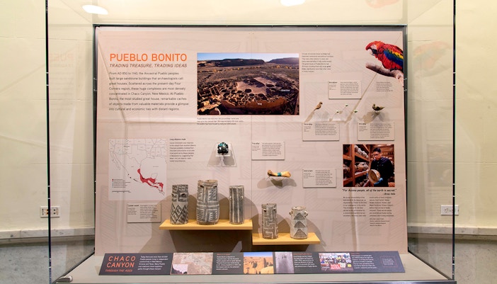 American Museum of Natural History