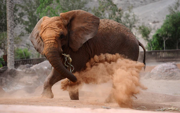 Oasis Wildlife Fuerteventura Tickets