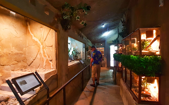 Visitor exploring reptile exhibits at Bali Reptile Park.