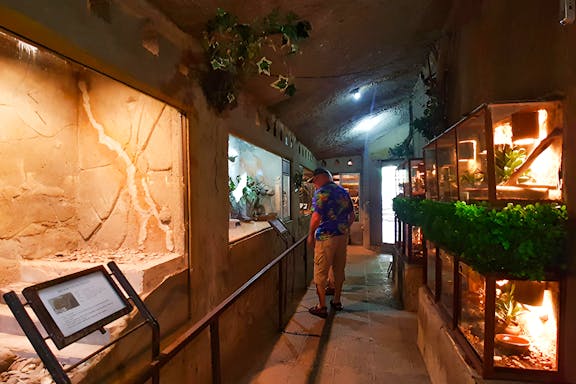 tickets to bali reptile park-6