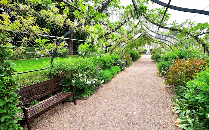Pathway through Chavenry Castle Gardens with lush greenery and a wooden bench.