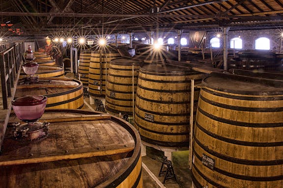 guided tour of real companhia velha with wine tasting-6
