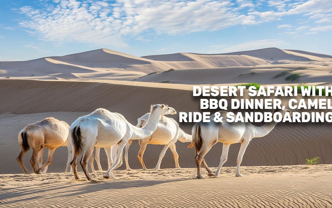 abu dhabi city pass classic-5