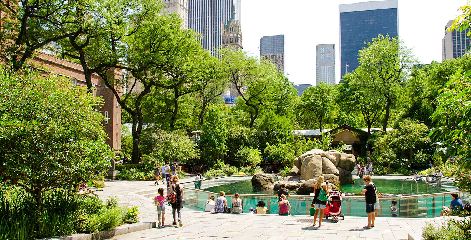 Visitors at sea lion exhibit, Central Park Zoo, New York City.