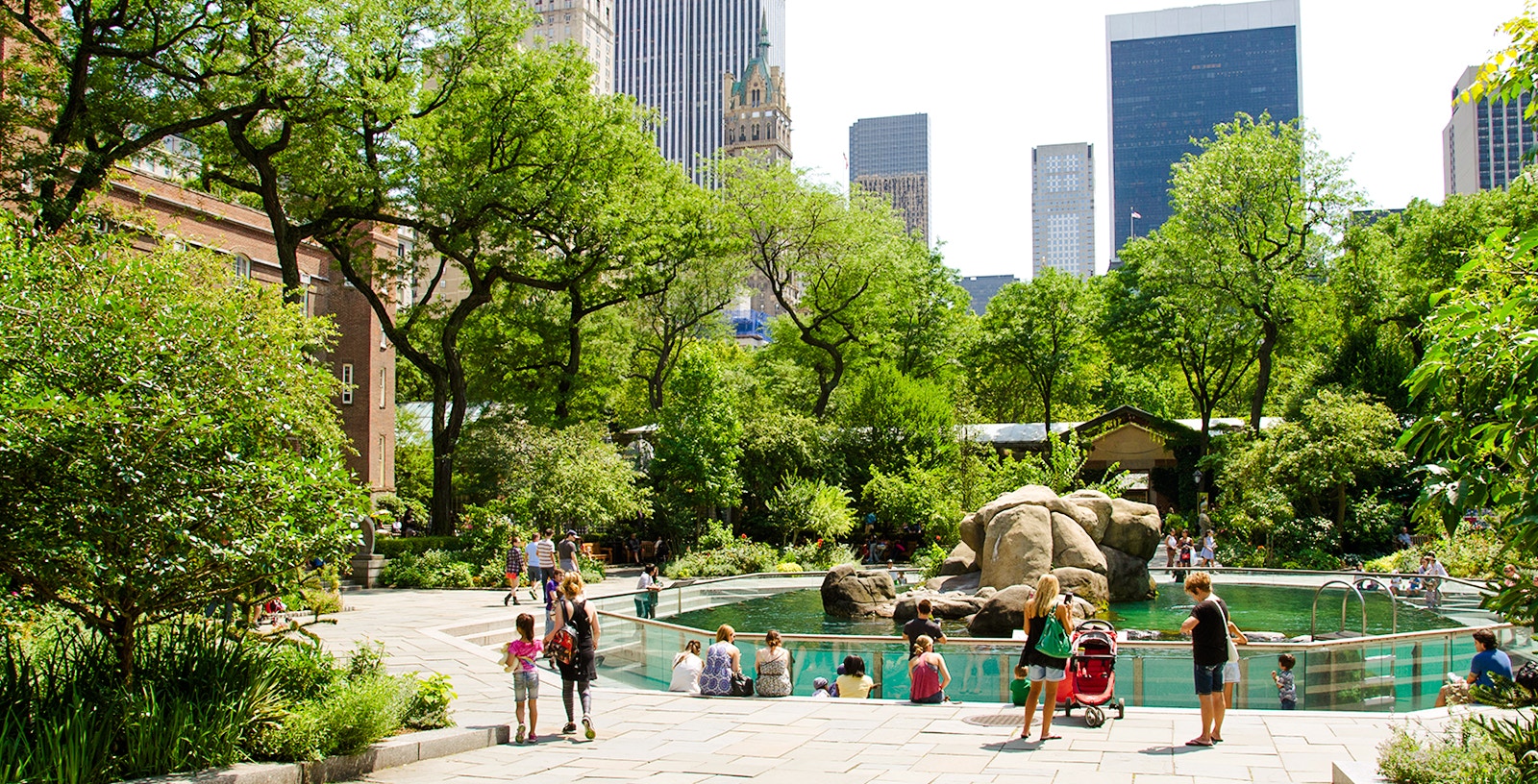 Visitors at sea lion exhibit, Central Park Zoo, New York City.