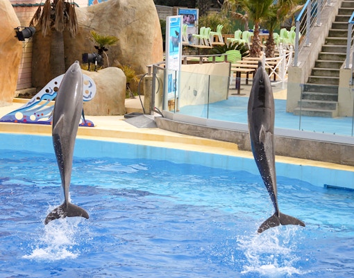 Marineland of Antibes