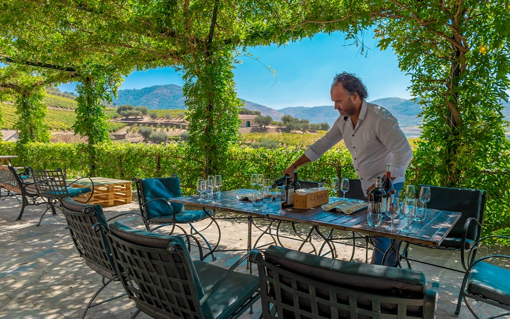 Outdoor table setting in vineyard with man preparing for tourists.
