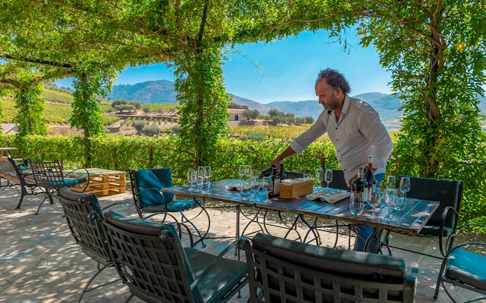 Outdoor table setting in vineyard with man preparing for tourists.
