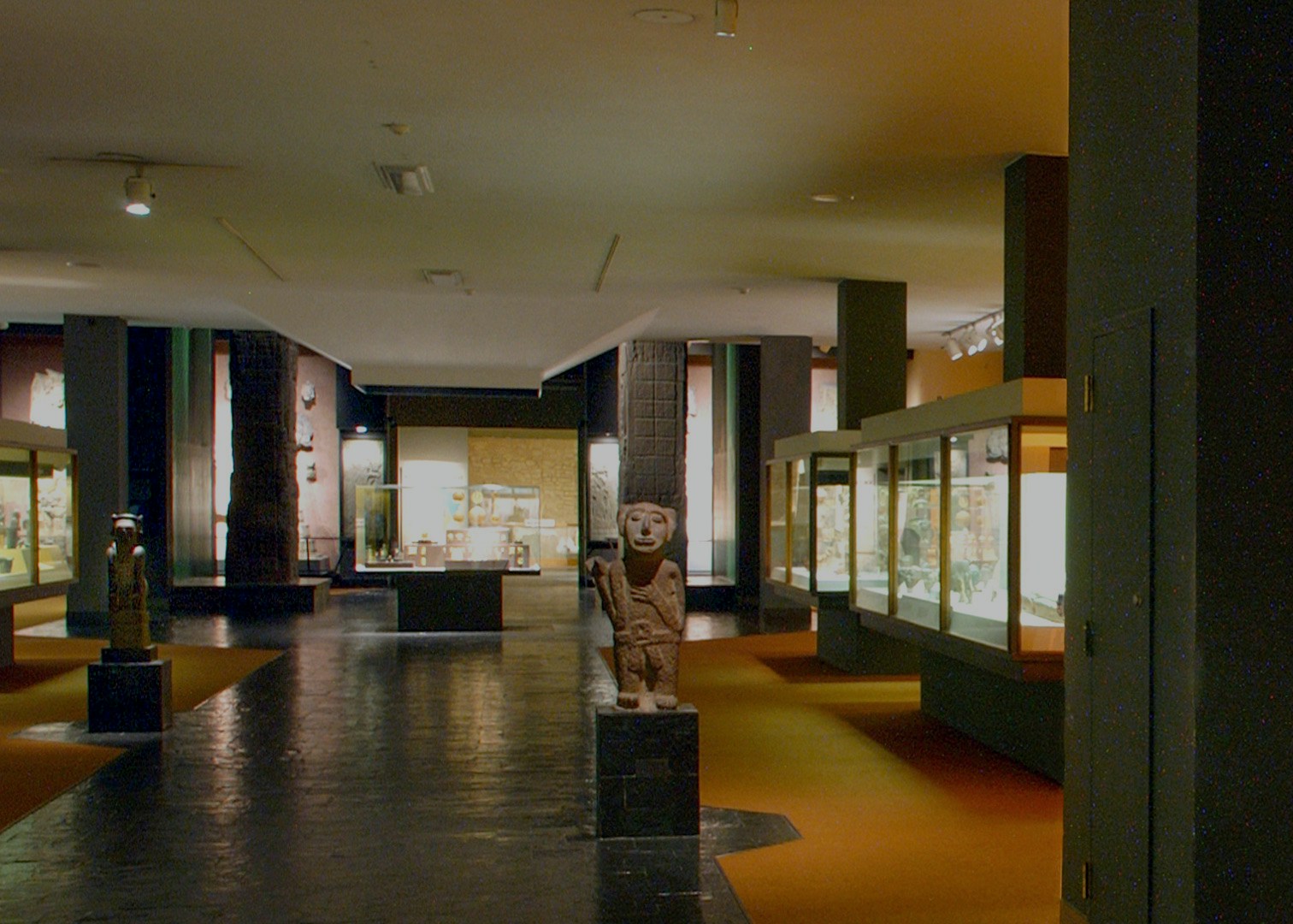 American Museum of Natural History