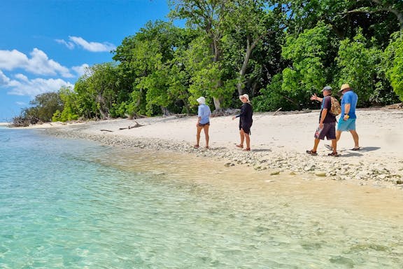 full day tour of lady musgrave island-6